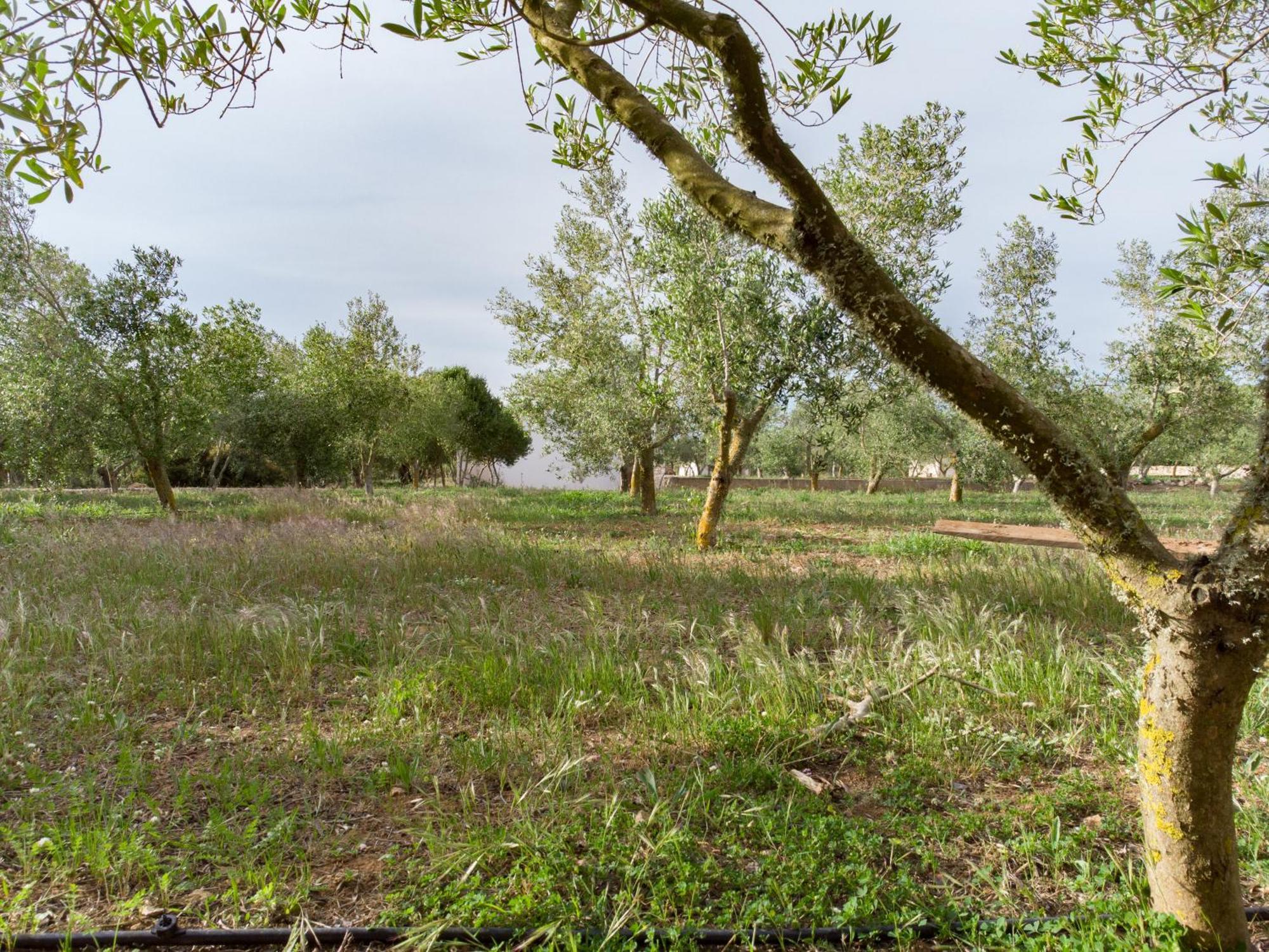 Agroturismo Malbuger Nou Menorca -Adults Only- Mahon  Bagian luar foto